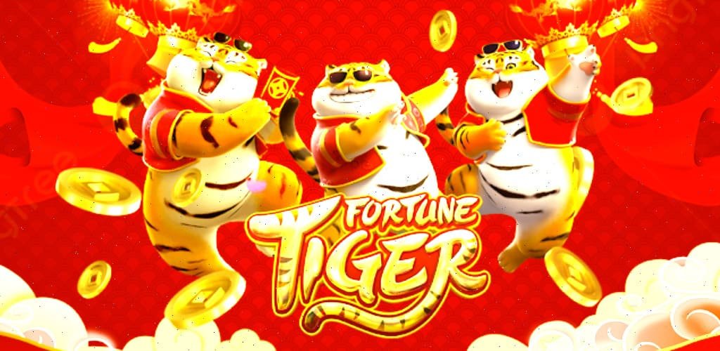 Bingo games section on tg77 online gaming platform